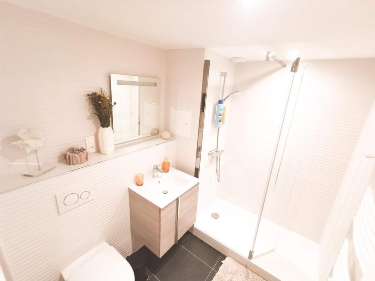 Appartement Cosy En Hypercentre - Le Petit Jules Dijon Dış mekan fotoğraf